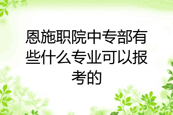 恩施职院中专部有些什么专业可以报考的