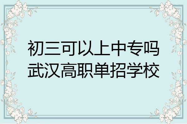 初三可以上中专吗武汉高职单招学校