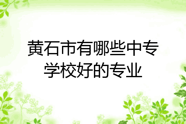 黄石市有哪些中专学校好的专业