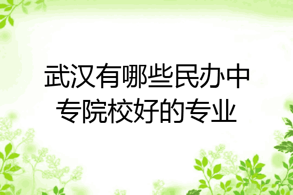 武汉有哪些民办中专院校好的专业