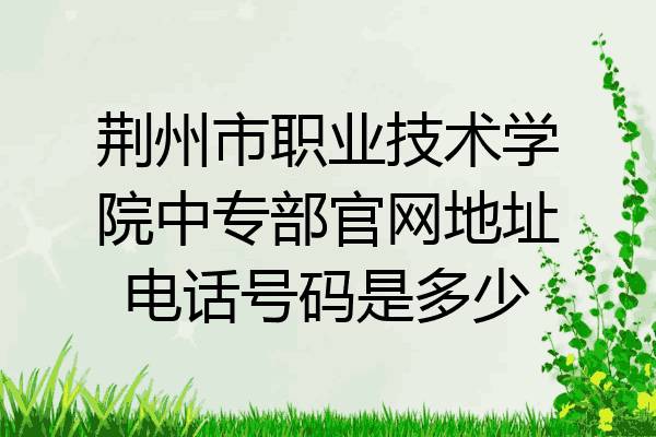 荆州市职业技术学院中专部官网地址电话号码是多少