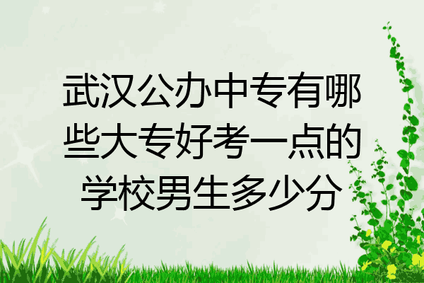 武汉公办中专有哪些大专好考一点的学校男生多少分