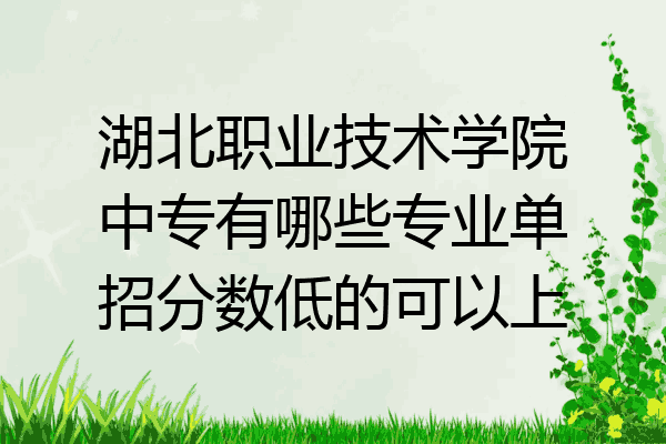 湖北职业技术学院中专有哪些专业单招分数低的可以上