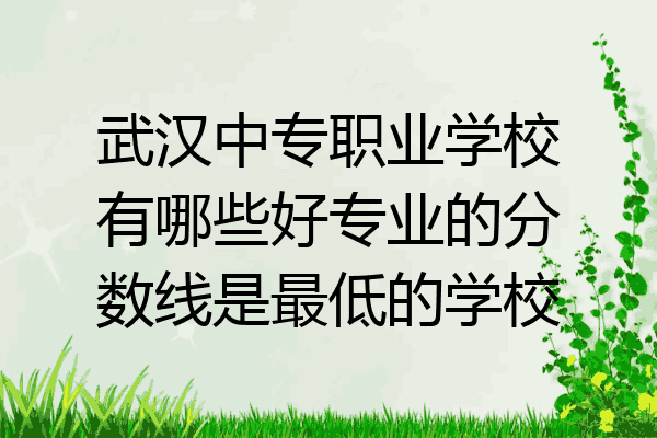武汉中专职业学校有哪些好专业的分数线是最低的学校