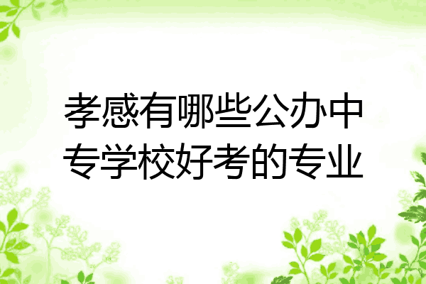 孝感有哪些公办中专学校好考的专业