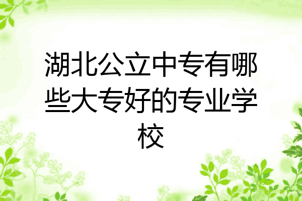 湖北公立中专有哪些大专好的专业学校