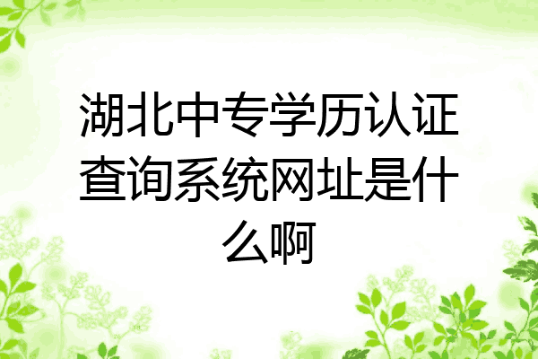 湖北中专学历认证查询系统网址是什么啊