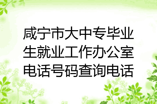 咸宁市大中专毕业生就业工作办公室电话号码查询电话