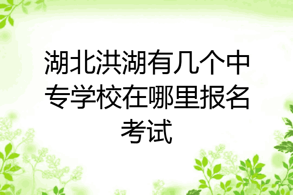湖北洪湖有几个中专学校在哪里报名考试