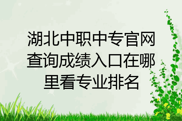 湖北中职中专官网查询成绩入口在哪里看专业排名