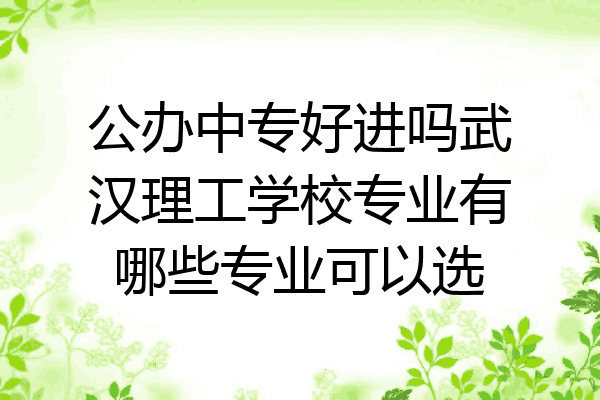 公办中专好进吗武汉理工学校专业有哪些专业可以选