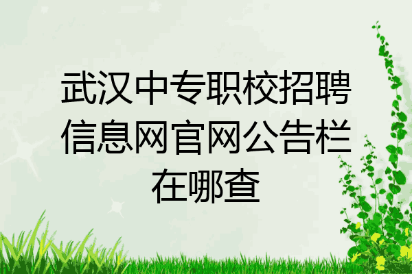 武汉中专职校招聘信息网官网公告栏在哪查