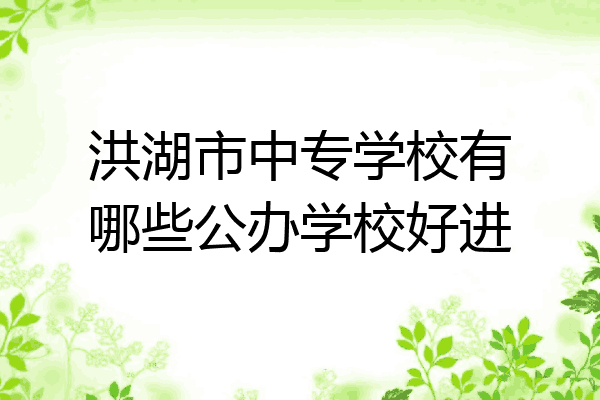 洪湖市中专学校有哪些公办学校好进