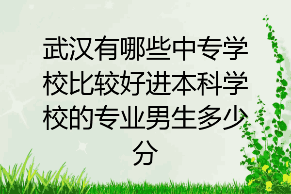 武汉有哪些中专学校比较好进本科学校的专业男生多少分