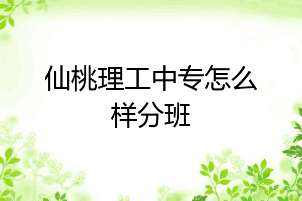 仙桃理工中专怎么样分班