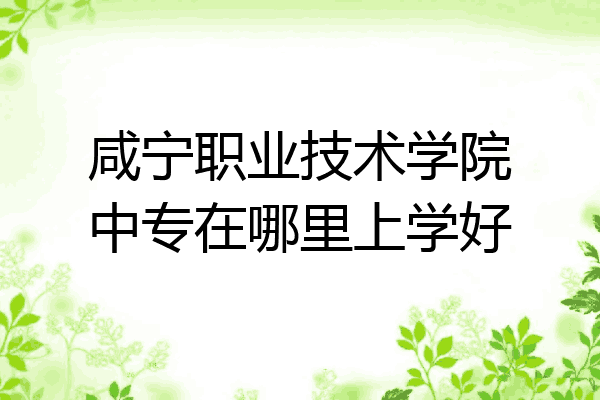 咸宁职业技术学院中专在哪里上学好