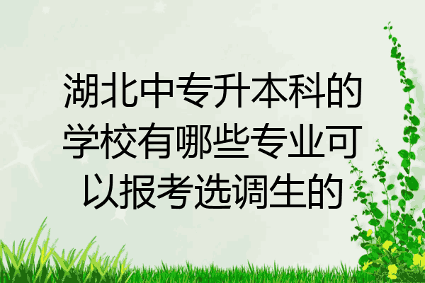 湖北中专升本科的学校有哪些专业可以报考选调生的