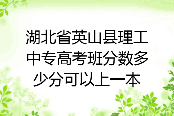 湖北省英山县理工中专高考班分数多少分可以上一本