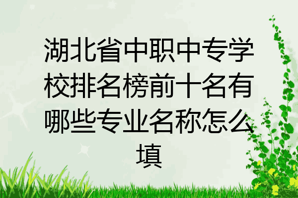 湖北省中职中专学校排名榜前十名有哪些专业名称怎么填