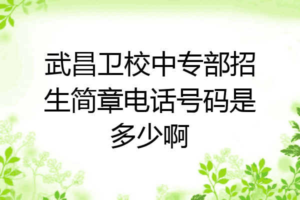 武昌卫校中专部招生简章电话号码是多少啊
