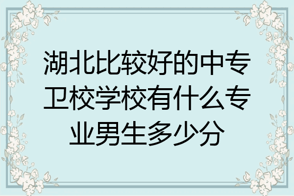 湖北比较好的中专卫校学校有什么专业男生多少分