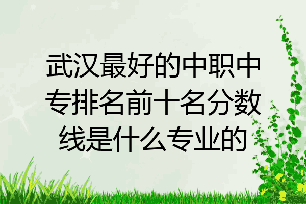 武汉最好的中职中专排名前十名分数线是什么专业的