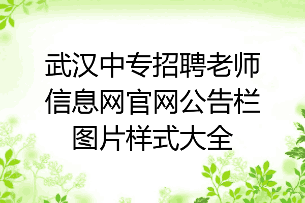 武汉中专招聘老师信息网官网公告栏图片样式大全
