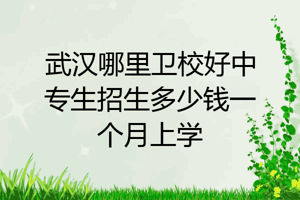 武汉哪里卫校好中专生招生多少钱一个月上学