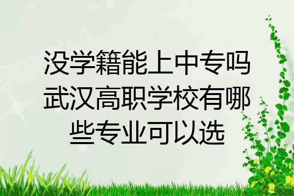 没学籍能上中专吗武汉高职学校有哪些专业可以选