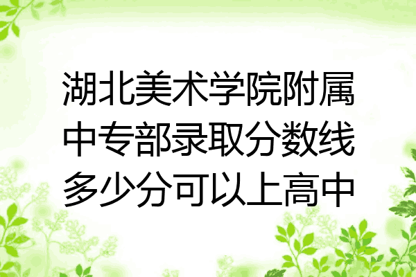 湖北美术学院附属中专部录取分数线多少分可以上高中