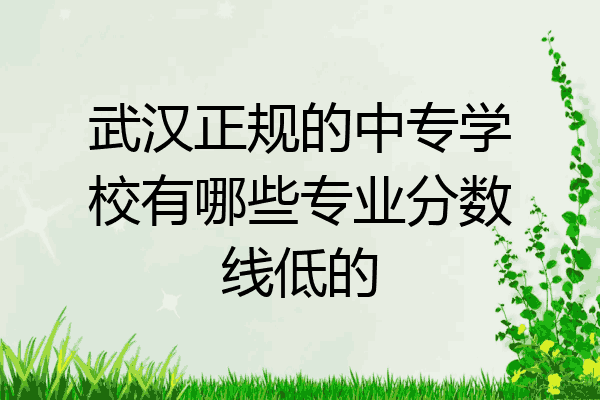 武汉正规的中专学校有哪些专业分数线低的