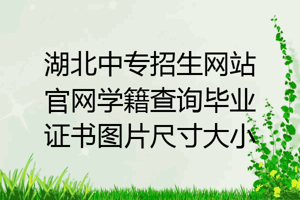 湖北中专招生网站官网学籍查询毕业证书图片尺寸大小