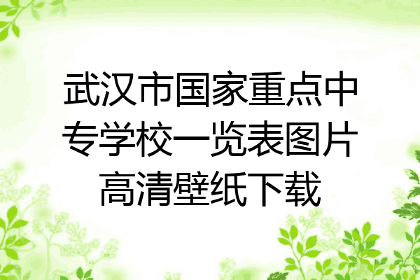 武汉市国家重点中专学校一览表图片高清壁纸下载