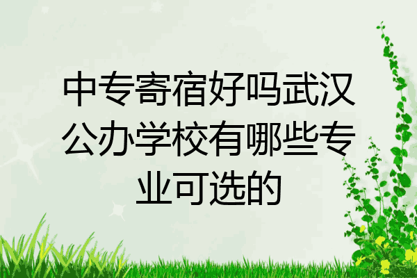 中专寄宿好吗武汉公办学校有哪些专业可选的