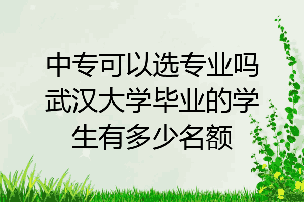 中专可以选专业吗武汉大学毕业的学生有多少名额