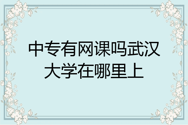 中专有网课吗武汉大学在哪里上