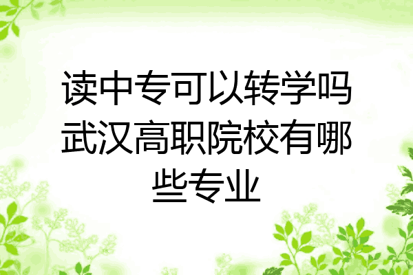 读中专可以转学吗武汉高职院校有哪些专业