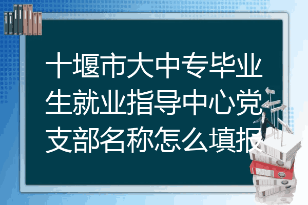 十堰市大中专毕业生就业指导中心党支部名称怎么填报