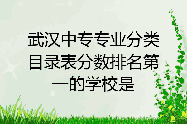 武汉中专专业分类目录表分数排名第一的学校是