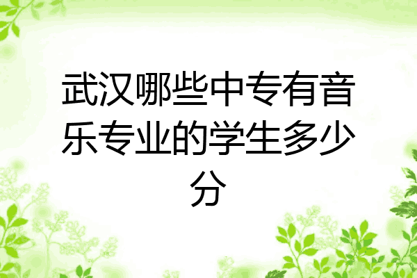 武汉哪些中专有音乐专业的学生多少分