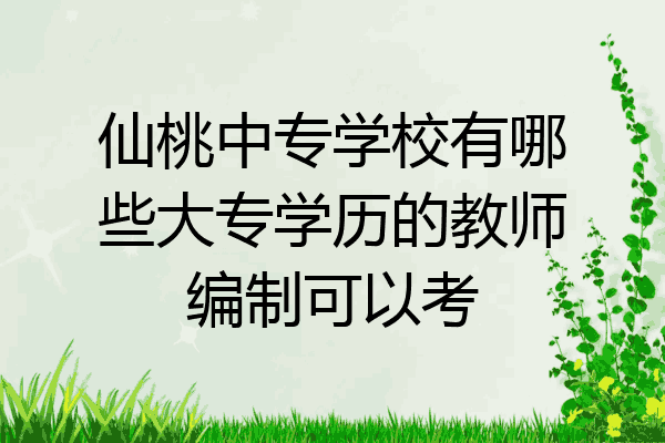 仙桃中专学校有哪些大专学历的教师编制可以考