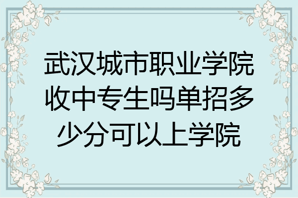 武汉城市职业学院收中专生吗单招多少分可以上学院