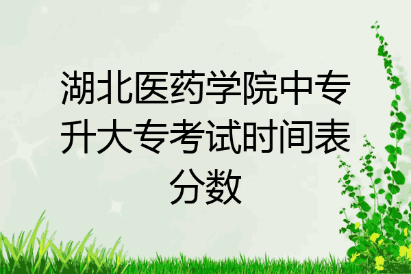 湖北医药学院中专升大专考试时间表分数