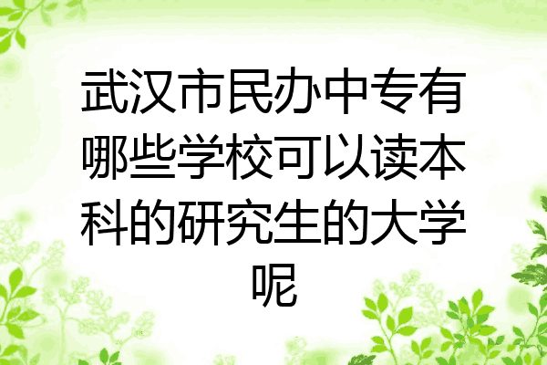 武汉市民办中专有哪些学校可以读本科的研究生的大学呢
