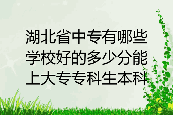 湖北省中专有哪些学校好的多少分能上大专专科生本科