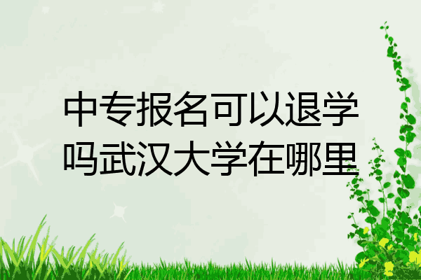 中专报名可以退学吗武汉大学在哪里
