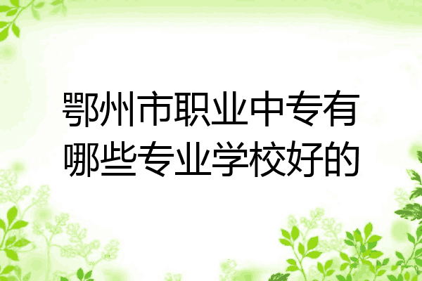 鄂州市职业中专有哪些专业学校好的
