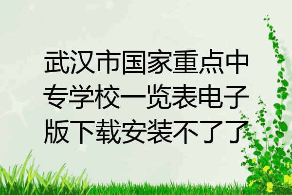 武汉市国家重点中专学校一览表电子版下载安装不了了