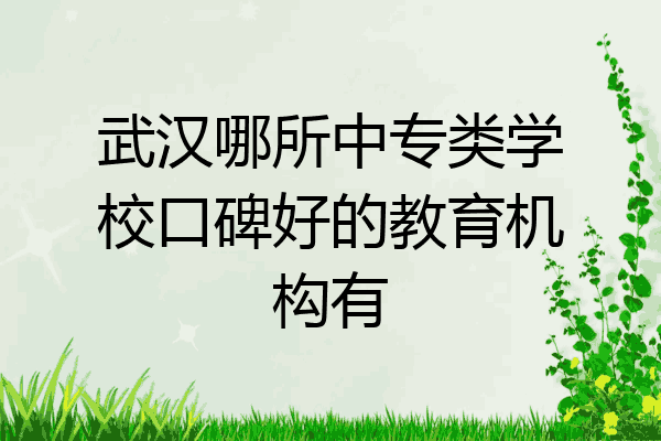 武汉哪所中专类学校口碑好的教育机构有