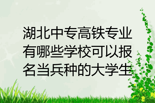 湖北中专高铁专业有哪些学校可以报名当兵种的大学生